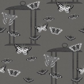 Grayscale Moths with Lantern