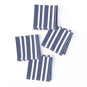 French Ticking ~ Verity Blue and White ~ Faux Terry   