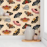 Moths // Pink, Yellow, Orange, Burgundy, TerraCotta Clay, Faux Metallic Gold, Brown, Black and White // Beige Floral Silhouette Background