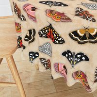 Moths // Pink, Yellow, Orange, Burgundy, TerraCotta Clay, Faux Metallic Gold, Brown, Black and White // Beige Floral Silhouette Background