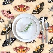 Moths // Pink, Yellow, Orange, Burgundy, TerraCotta Clay, Faux Metallic Gold, Brown, Black and White // Beige Floral Silhouette Background