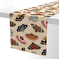 Moths // Pink, Yellow, Orange, Burgundy, TerraCotta Clay, Faux Metallic Gold, Brown, Black and White // Beige Floral Silhouette Background