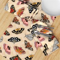 Moths // Pink, Yellow, Orange, Burgundy, TerraCotta Clay, Faux Metallic Gold, Brown, Black and White // Beige Floral Silhouette Background