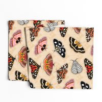 Moths // Pink, Yellow, Orange, Burgundy, TerraCotta Clay, Faux Metallic Gold, Brown, Black and White // Beige Floral Silhouette Background