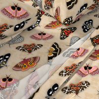 Moths // Pink, Yellow, Orange, Burgundy, TerraCotta Clay, Faux Metallic Gold, Brown, Black and White // Beige Floral Silhouette Background