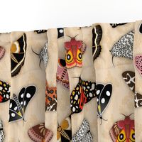 Moths // Pink, Yellow, Orange, Burgundy, TerraCotta Clay, Faux Metallic Gold, Brown, Black and White // Beige Floral Silhouette Background