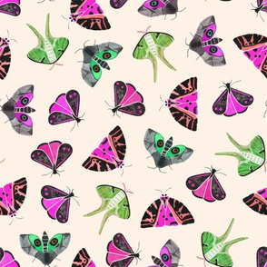 Exotic Moths in Pink & Green