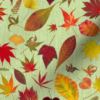 Fall Leaves on Burlap grn