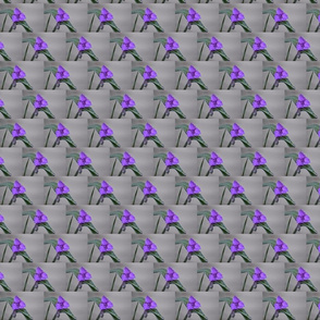 Purple Triangles2