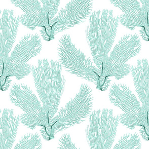 Sea Green Coral Sea Fan