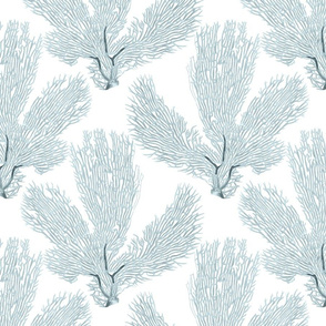 Slate Blue Coral Sea Fan