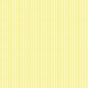 shirtstripe yellow