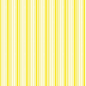 shirtstripe yellow-ed