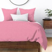 Sleepy Series Pink Tattersall Mid-tone Ditsy