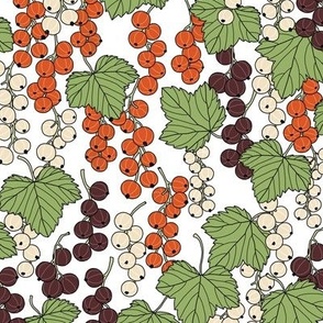 Summer Berries - red, white, and black currants