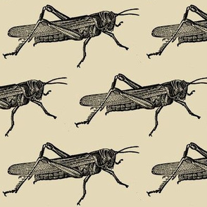 A Plague Of Giant Locusts