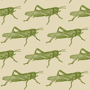 A Plague Of Giant Green Locusts