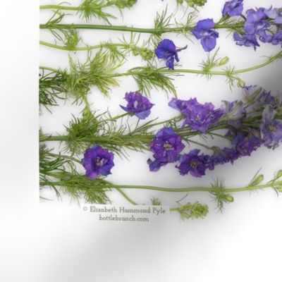 double sided larkspur tea towel for roostery