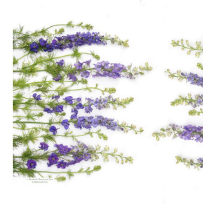 double sided larkspur tea towel for roostery