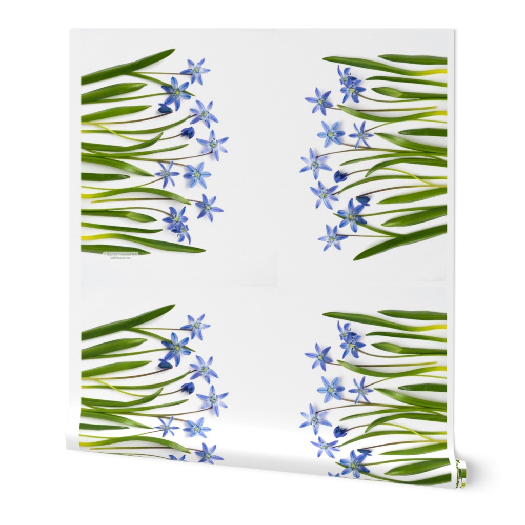 double sided wildfowers with hyssop tea towel for roostery