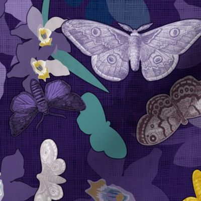 Moths & Orchids (Imperial Palace)