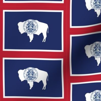 Wyoming State Flag Pattern
