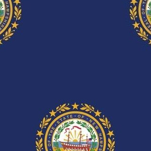New Hampshire State Flag Pattern