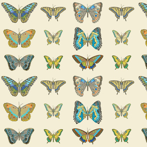 Butterflies in Cream