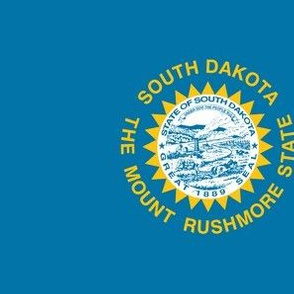 South Dakota State Flag Pattern