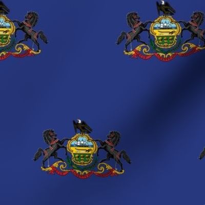 Pennsylvania State Flag Pattern