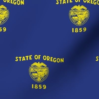 Oregon State Flag Pattern