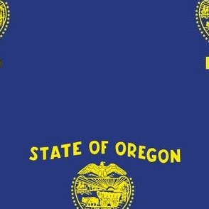 Oregon State Flag Pattern