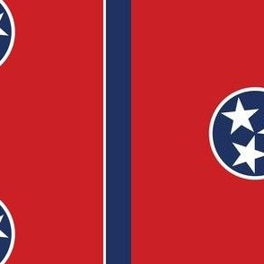 Tennessee State Flag Pattern
