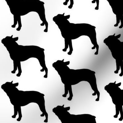 Boston Terrier Dog Silhouette, Black on White