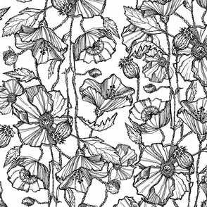 Hand-Drawn Poppies in Black & White