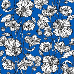 Hand-Drawn Poppies in Blue