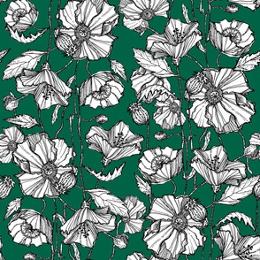 Hand-Drawn Poppies in Green