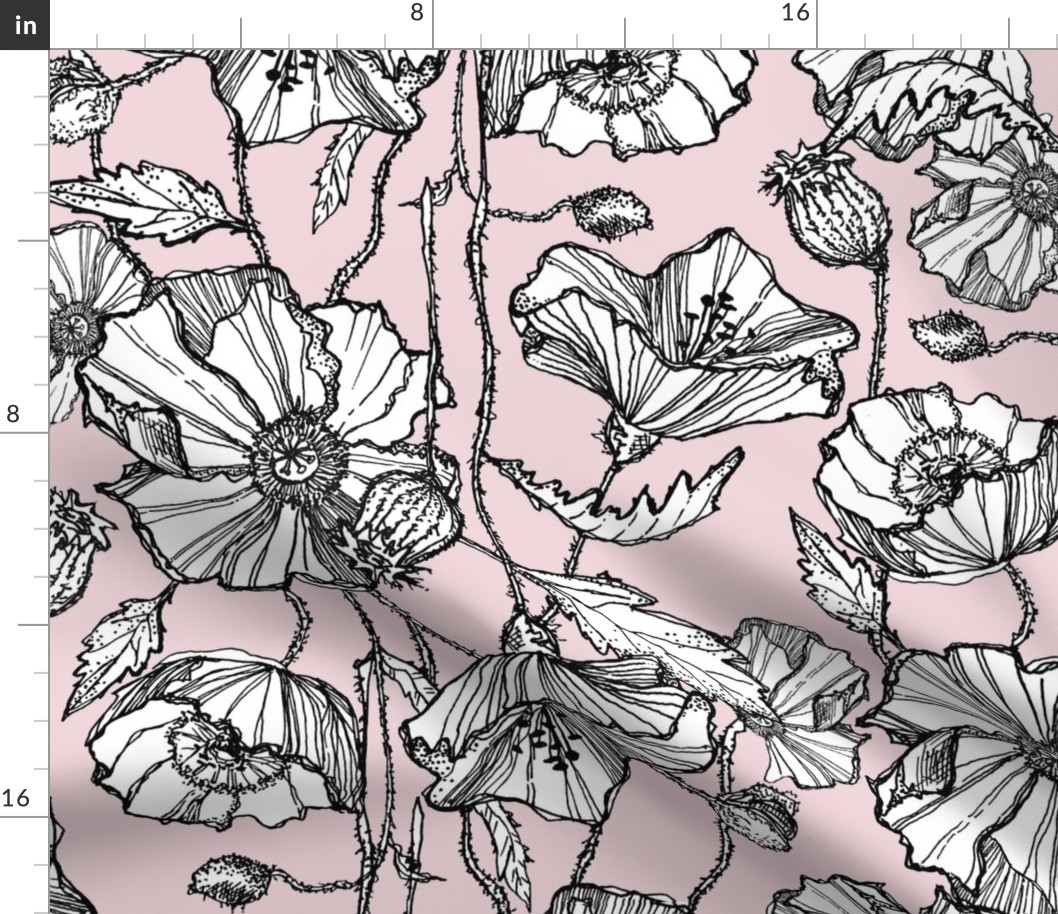 Hand-Drawn Poppies in Pale Pink