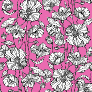 Hand-Drawn Poppies in Bright Pink