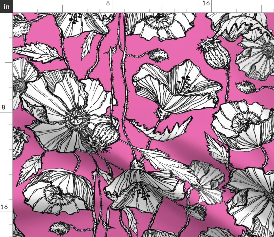 Hand-Drawn Poppies in Bright Pink