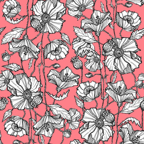 Hand-Drawn Poppies in Coral Salmon