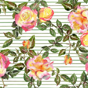 Watercolor roses on green stripe