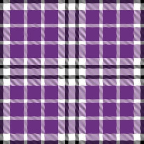 Plaid in Purple White Black