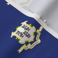 Connecticut State Flag Pattern