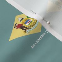 Delaware State Flag Pattern