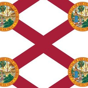 Florida State Flag Pattern