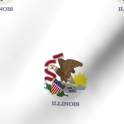 Illinois State Flag Pattern