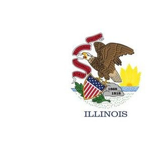 Illinois State Flag Pattern