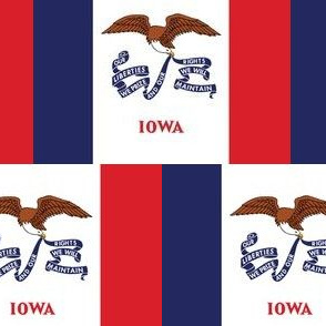 Iowa State Flag Pattern