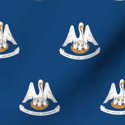 Louisana State Flag Pattern